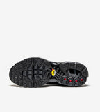 Nike Air Max Plus SE Black Chrome (Women's)